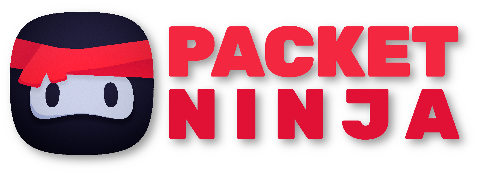 Packet Ninja Logo