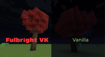 VK vs Vanilla