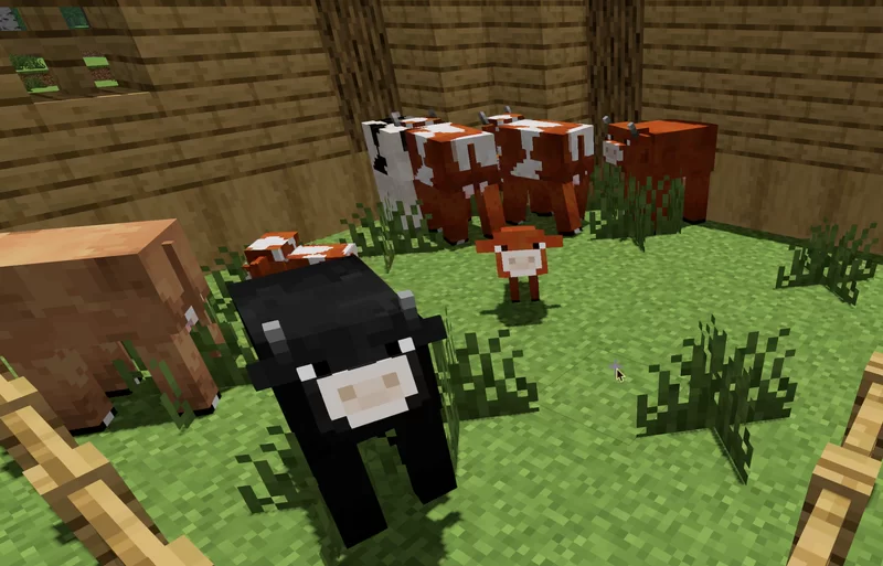 new cows and varients