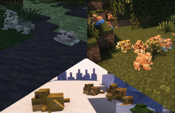 frog variants