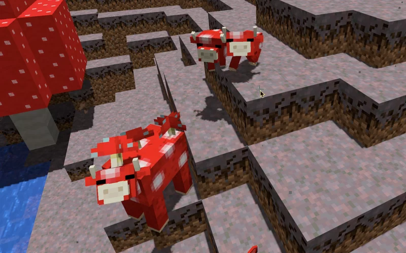 new-shrooms