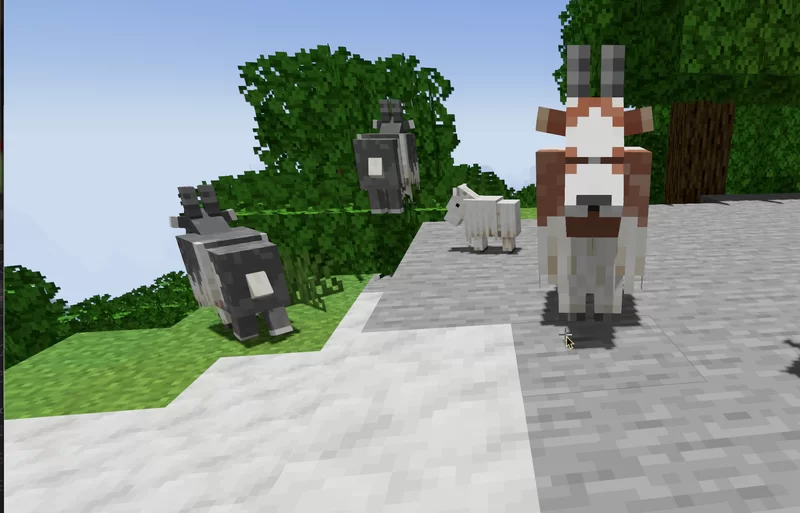 goat variants