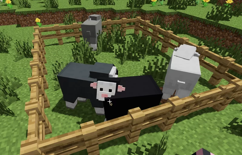 new sheep and natural variants