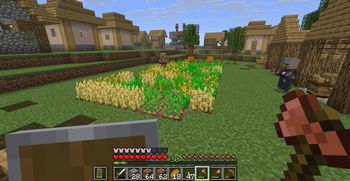 Farmer by his plot