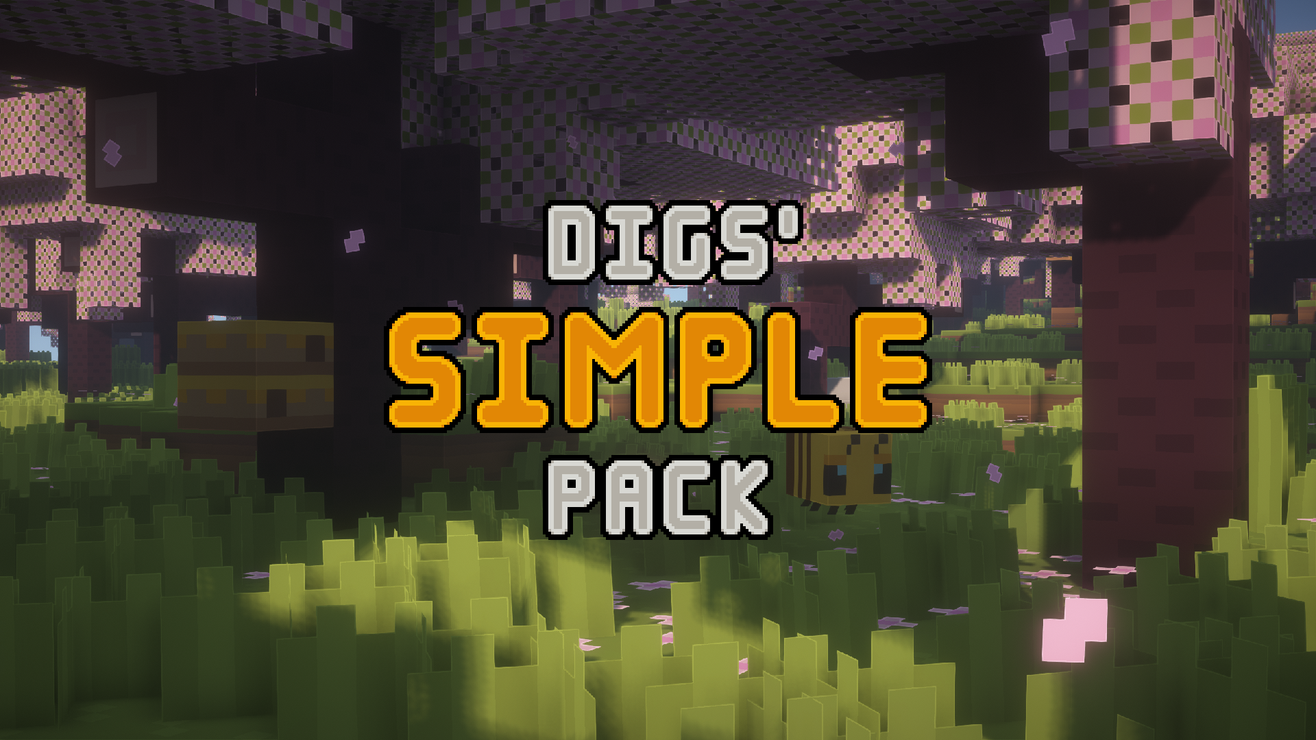 Digs' Simple Pack