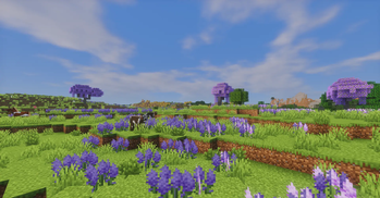 Lavender Field Biome