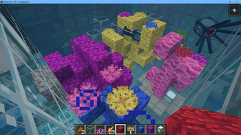 Coral regrows as well