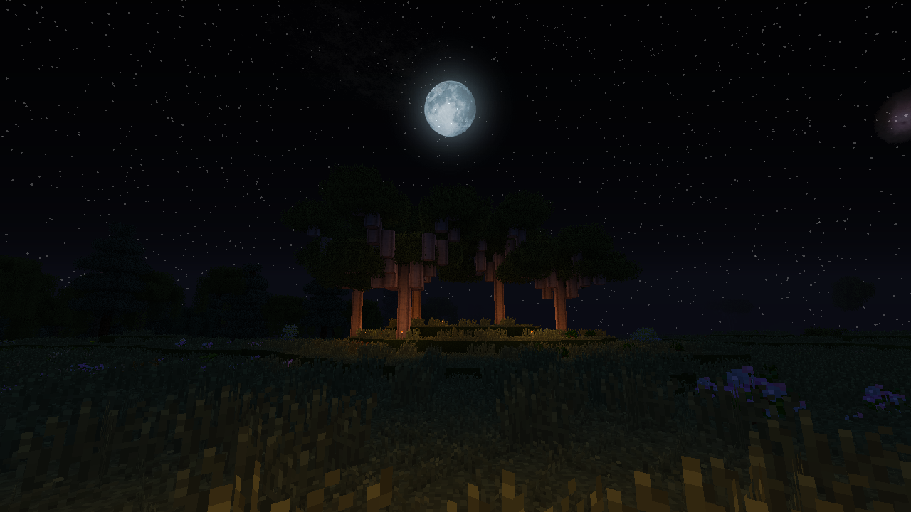 Moonrise over a eucalyptus nursery