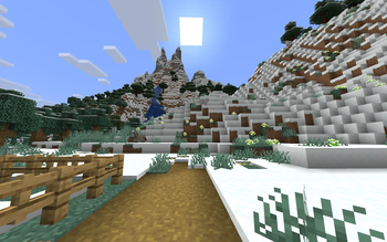 Mountain