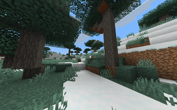 Savanna