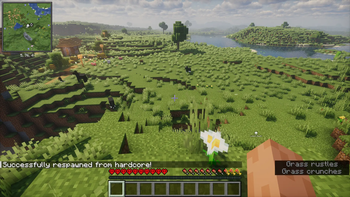 A player in hardcore mode with a message saying "Successfully respawned"