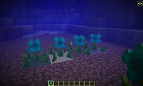 Underwater Blue Flowers in Water