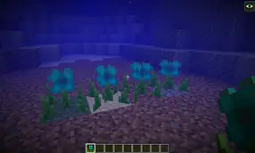 Underwater Blue Flowers in Water