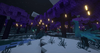 Stardust Garden