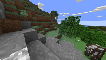 Hills