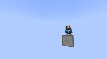 Wide Shot Sans