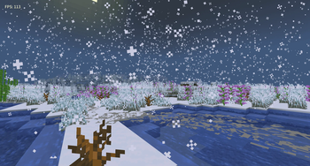 Winter snow on the coast