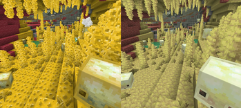 Caves