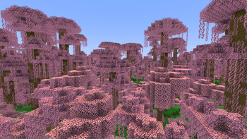 jungle