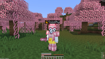 pink tools, armor, and hud in game