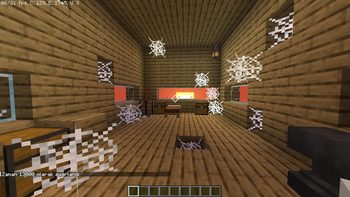 The house.