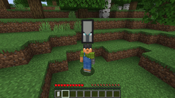 Equiped banner 3