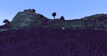 Plains Biome