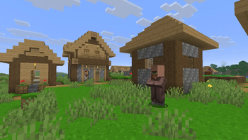Village