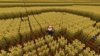 Wheat Field