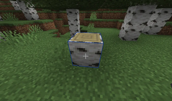 Custom Block Borders