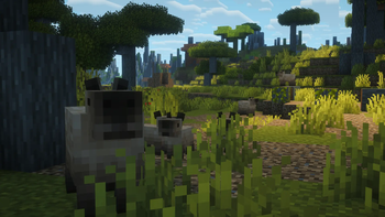 Capybaras