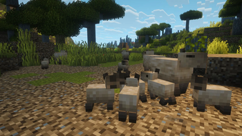Capybaras