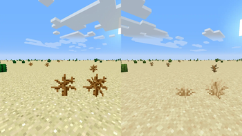 Tall & Short Dry Grass