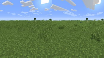 Bush