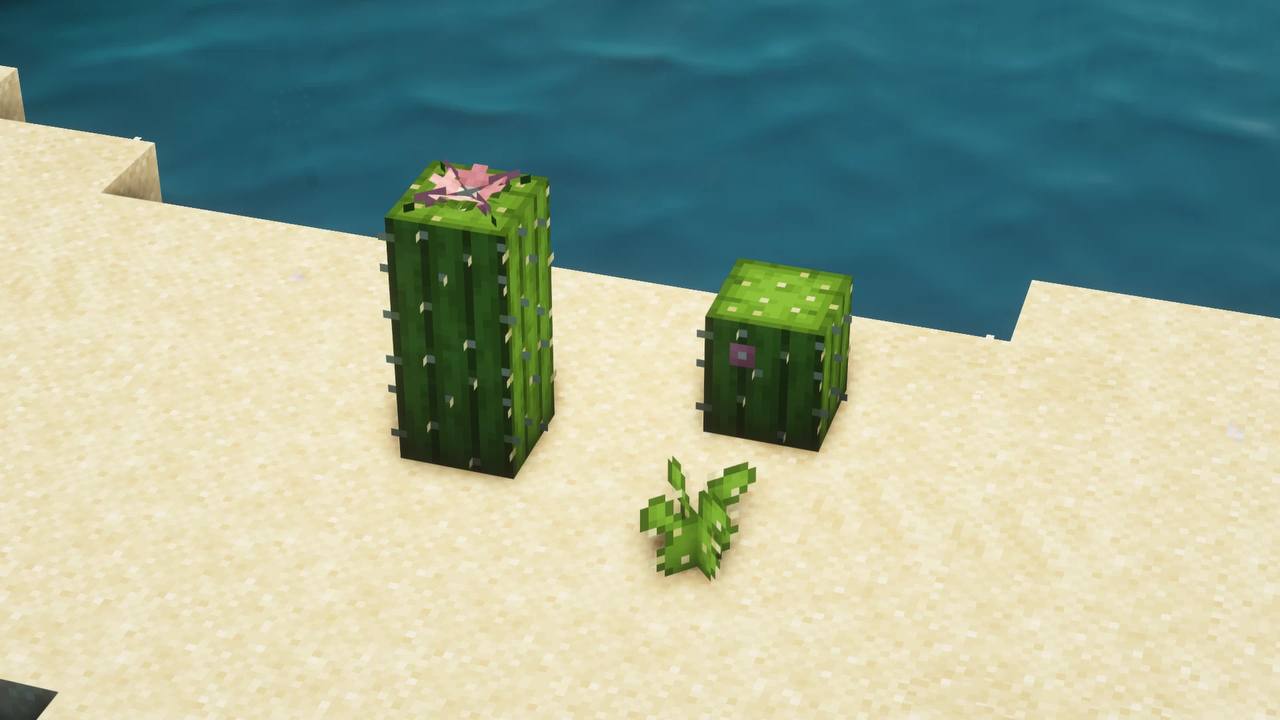 cactus