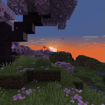 Panorama 0