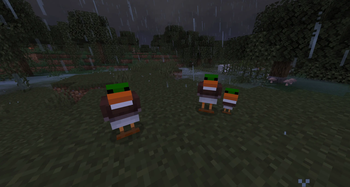 A Family of Ducks in the Swamp