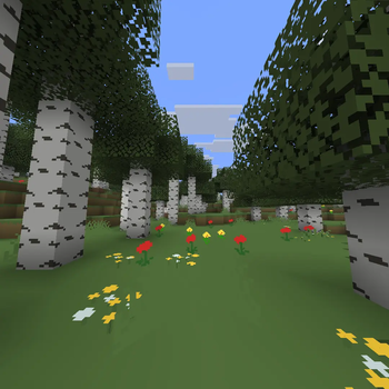 Picture (90 fov)