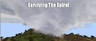 Surviving The Spiral