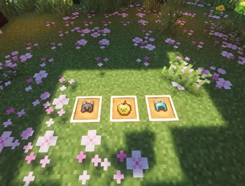 Beta 0.1 Items