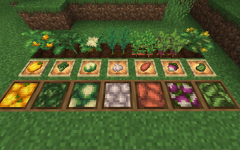 All the new veggies