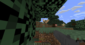Chicken hunting