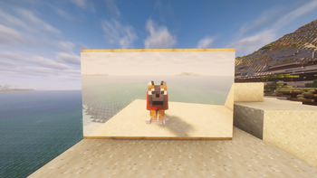 Picture Frames