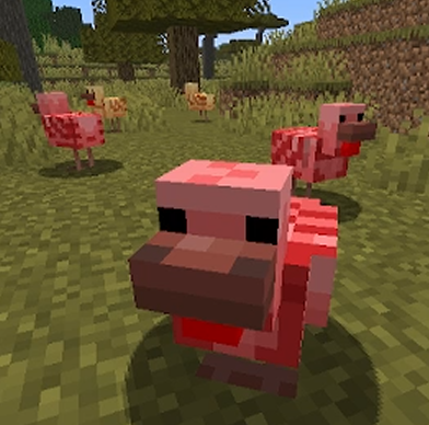 Boom Chickens