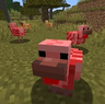 Boom Chickens