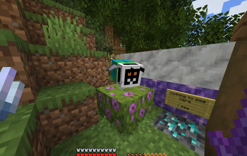 Beepat Hivetool