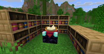 Working chiseled bookshelves