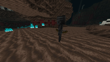 Soul Sand Valley Wither Skeleton
