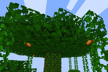 Dynamic mangos