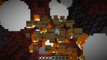 Nether Bed Test
